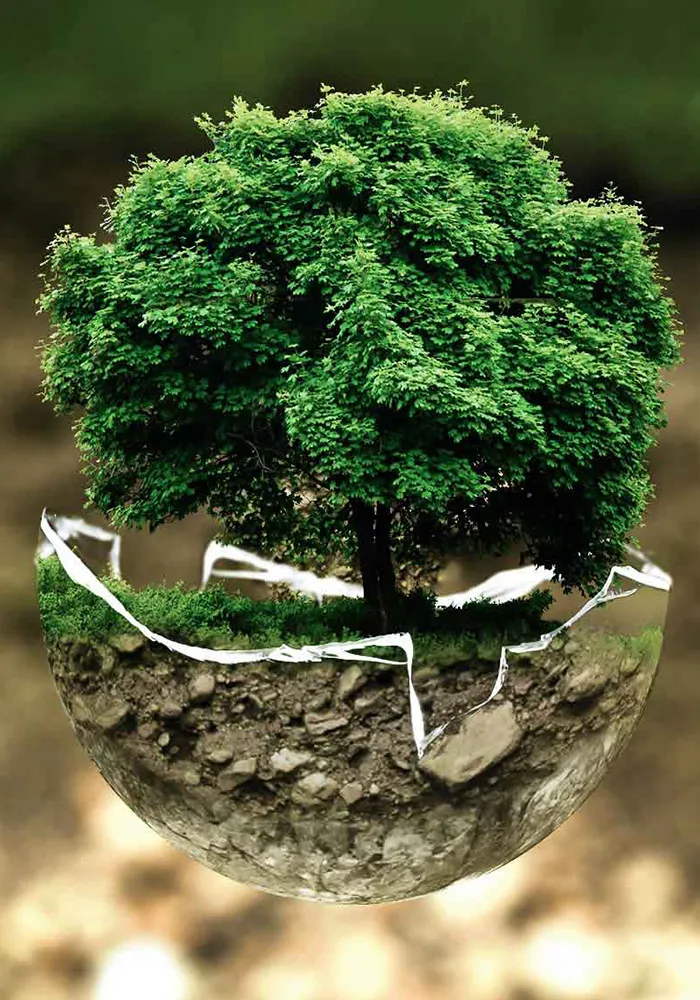 capic-capacitaciones-Gestión-ambiental-y-evaluación-del-impacto_23